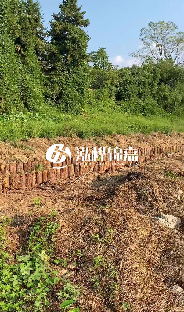 許昌河道清淤專業(yè)施工-河道污水治理要多長(zhǎng)時(shí)間？