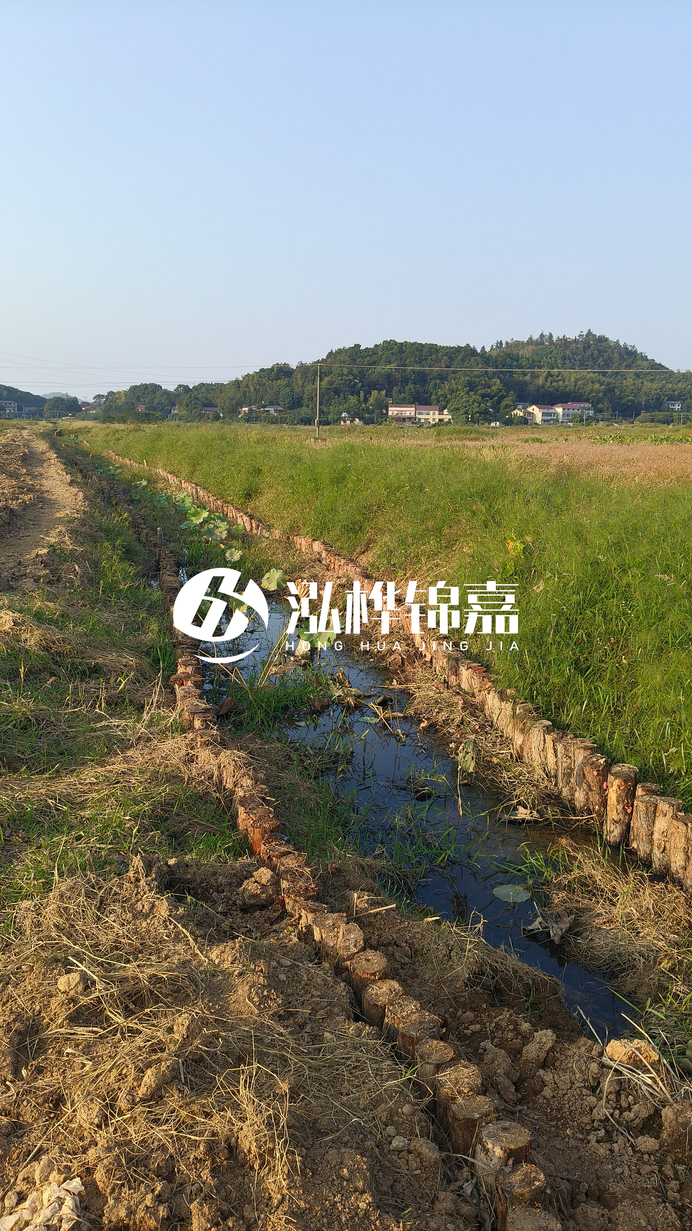 河道護(hù)坡打木樁的目的全解析：你知道幾個(gè)？