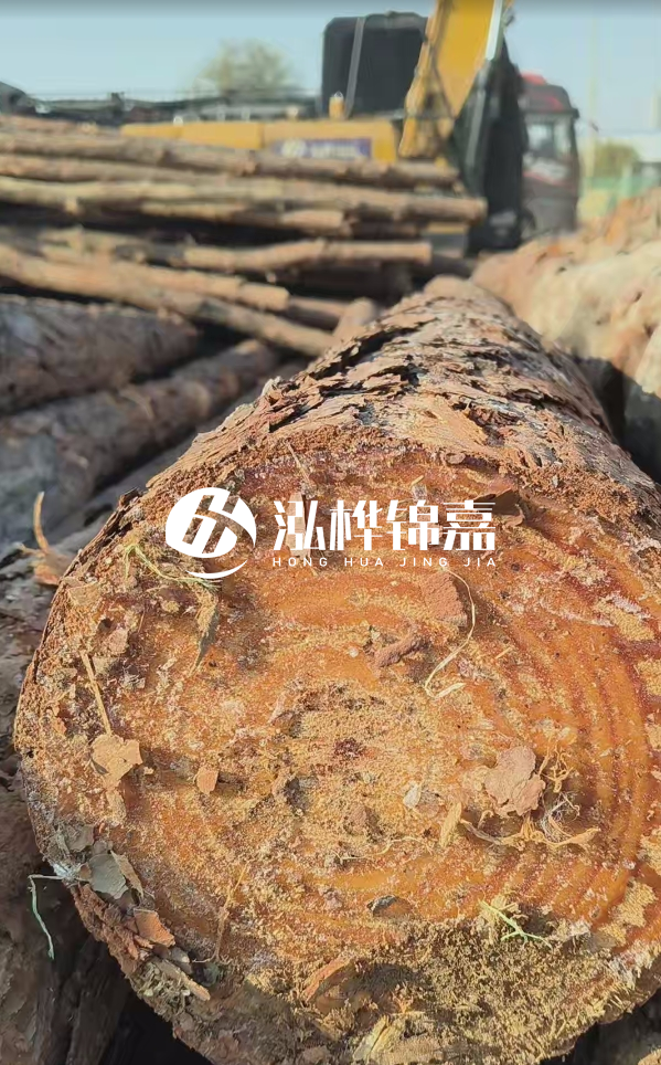 杉木樁價(jià)格多少錢(qián)一方-3米直徑14公分杉木樁價(jià)格？