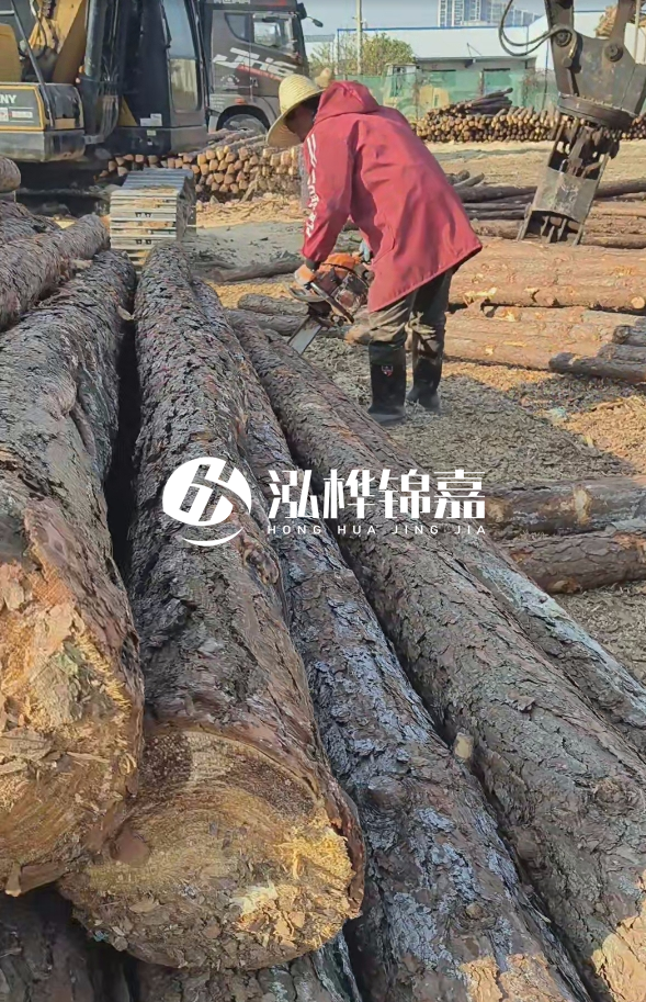 長沙打樁木批發(fā)廠家在哪里？聯(lián)系方式是什么？