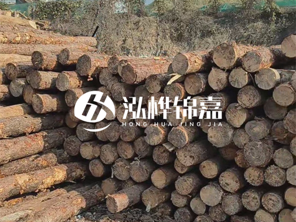 落葉松木材的主要產(chǎn)地在哪里？為什么比其他松木更耐腐蝕？