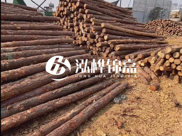 河道木樁施工遇到淤泥怎么辦？打多深才能防沖刷？