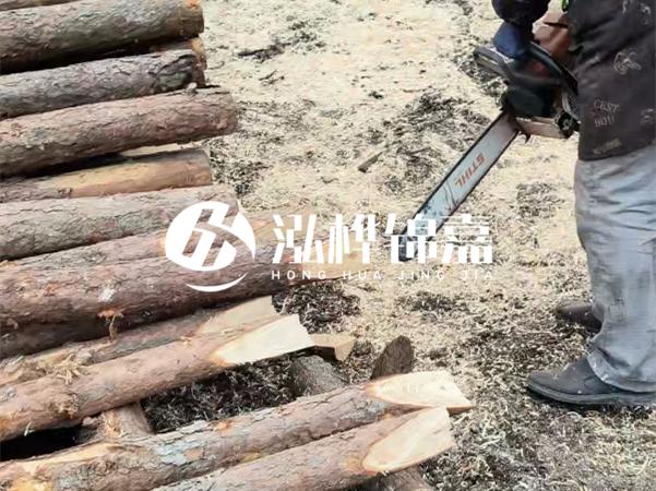 杉木樁批發(fā)廠家哪家好？產(chǎn)地直供渠道推薦！