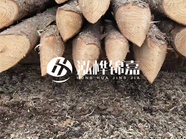 打樁木樁與鋼樁相比有哪些優(yōu)缺點(diǎn)？如何進(jìn)行后期維護(hù)？