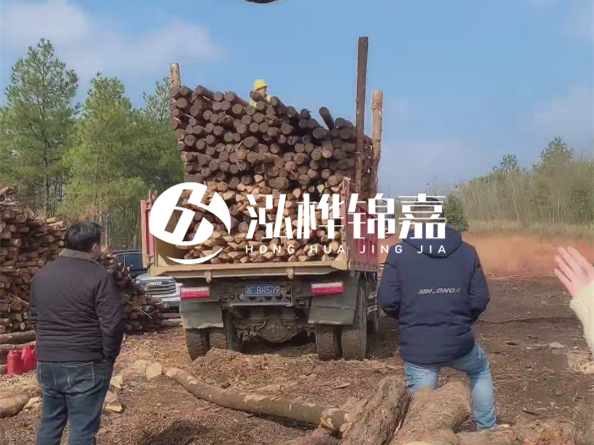 松木樁價格是按米算還是按根算？6米松木樁批發(fā)價每根多少錢？